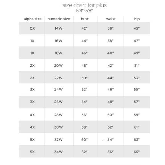 Boutique + Bodycon Dress Plus Size 1X, 2X - Picture 8 of 8